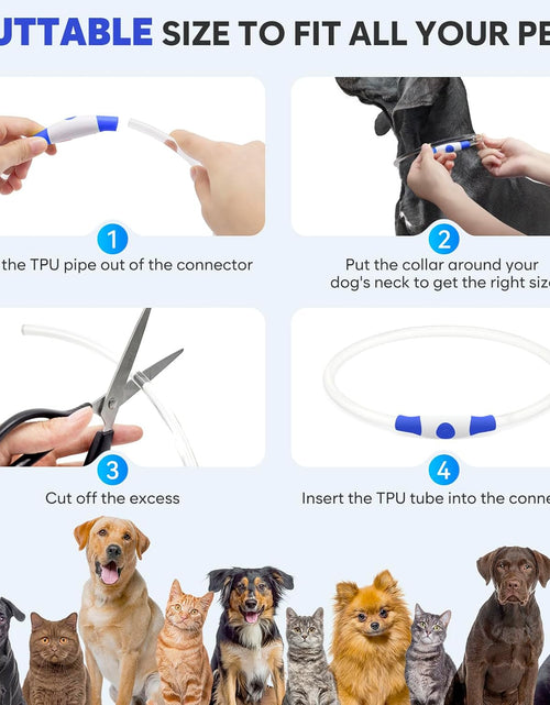 Load image into Gallery viewer, LED Dog Collar Waterproof Rechargeable - Bright TPU Light up Pet Collars, Reflective Adjustable Dog Glow Collar, Dog Safety Collar Light for Small Medium Large Dogs Night Walking&amp;Camping
